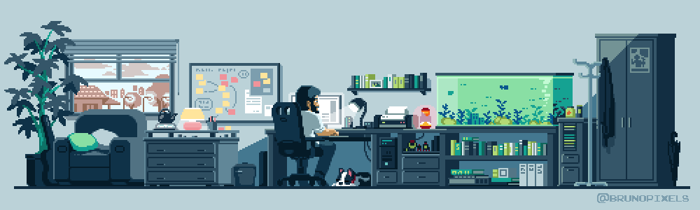 Work Experience